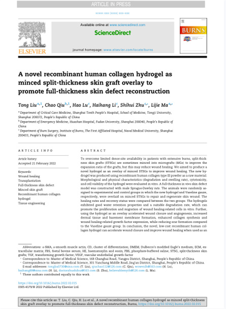 2022 动物研究，重组胶原用于微粒皮移植覆盖